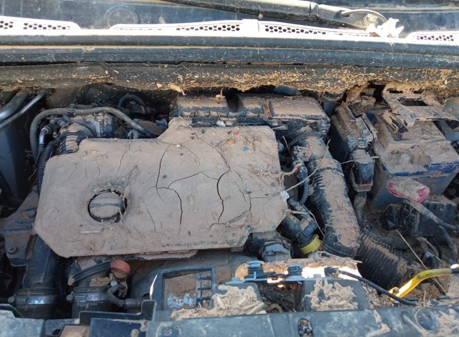 MOTOR-COMPLETO-CITROEN-BERLINGO-1-5-BLUE-HDI-FAP-102-CV-Ano-2019-Auto-Desguace-Luque