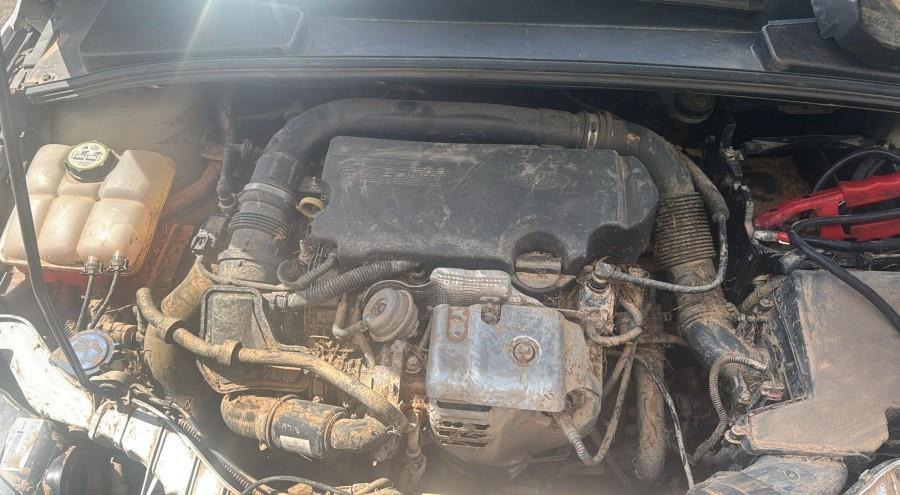 ANTINIEBLA-DELANTERO-IZQUIERDO-FORD-FOCUS-CB8-1-0-ECOBOOST-CAT-125-CV-Ano-2014-Auto-Desguace-Luque