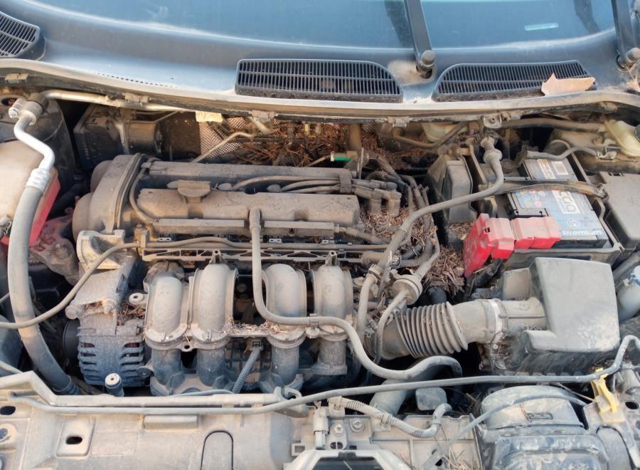 CREMALLERA-DE-DIRECCION-HIDRAULICA-FORD-FIESTA-CB1-1-4-Ano-2010-Auto-Desguace-Luque