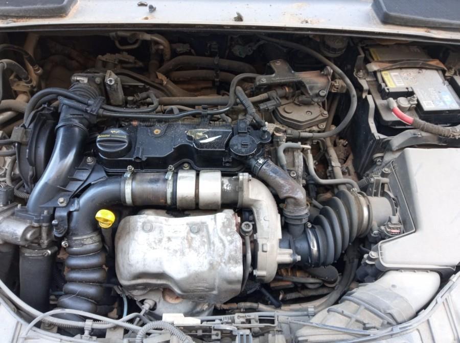 PILOTO-TRASERO-IZQUIERDO-FORD-FOCUS-CB8-1-6-TDCI-CAT-95-CV-Ano-2012-Auto-Desguace-Luque