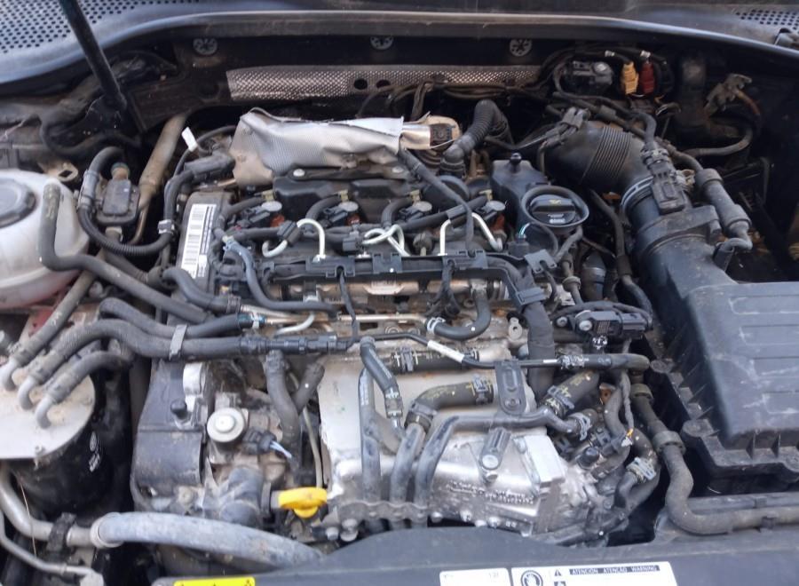 MOTOR-COMPLETO-VOLKSWAGEN-GOLF-VII-VARIANT-BV5-1-6-TDI-115-CV-Ano-2019-Auto-Desguace-Luque