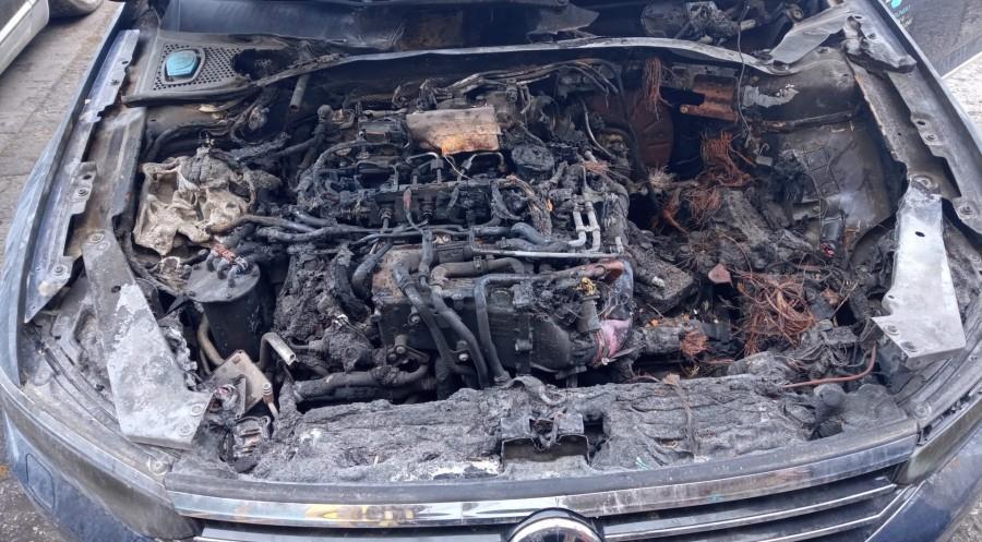 PILOTO-TRASERO-DERECHO-VOLKSWAGEN-PASSAT-VARIANT-3G5-2-0-TDI-DPF-239-CV-Ano-2016-Auto-Desguace-Luque