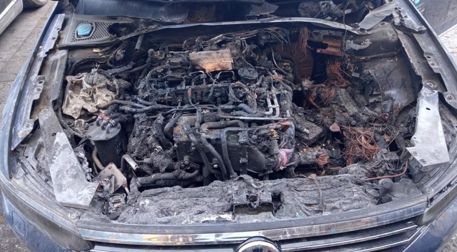 PILOTO-TRASERO-DERECHO-PORTON-VOLKSWAGEN-PASSAT-VARIANT-3G5-2-0-TDI-DPF-239-CV-Ano-2016-Auto-Desguace-Luque