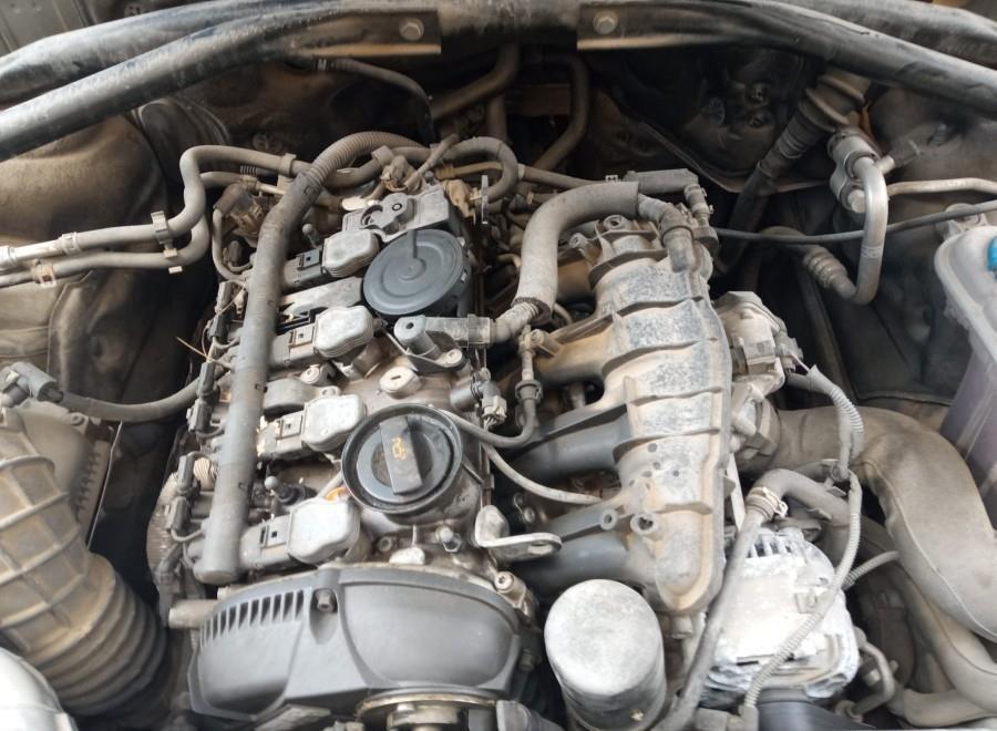 ANTINIEBLA-DELANTERO-DERECHO-AUDI-Q5-8R-2-0-TFSI-Ano-2011-Auto-Desguace-Luque