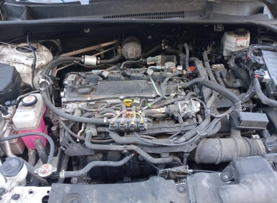 PILOTO-TRASERO-DERECHO-PORTON-TOYOTA-RAV-4-2-5-VVTI-AWD-Ano-2023-Auto-Desguace-Luque