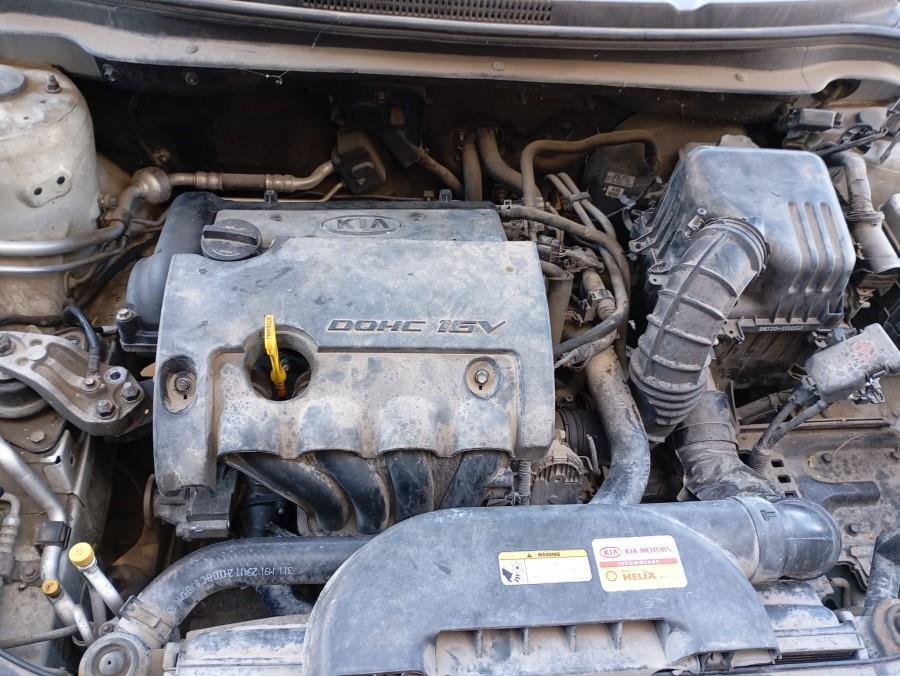 FARO-DELANTERO-DERECHO-KIA-CEED-1-4-16V-Ano-2011-Auto-Desguace-Luque