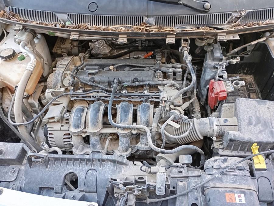 ANTINIEBLA-DELANTERO-IZQUIERDO-FORD-KA-1-2-12V-Ano-2017-Auto-Desguace-Luque