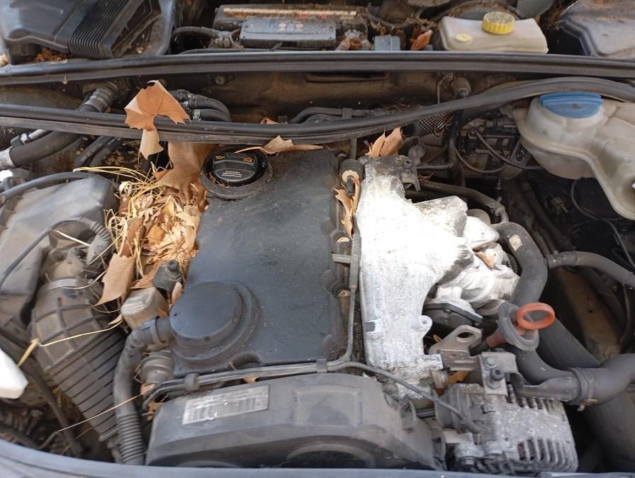 AMPLIFICADOR-DE-AUDIO-AUDI-A4-AVANT-8E-2-0-TDI-140CV-Ano-2007-Auto-Desguace-Luque