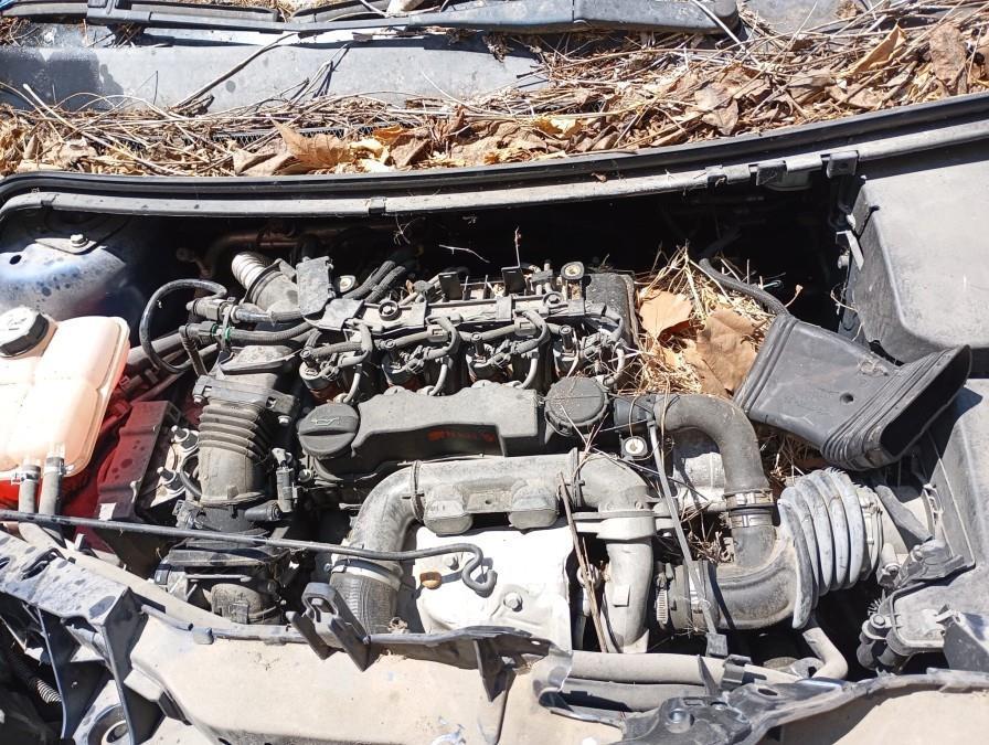 MOTOR-COMPLETO-FORD-FOCUS-CB4-1-6-TDCI-CAT-90-CV-Ano-2008-Auto-Desguace-Luque