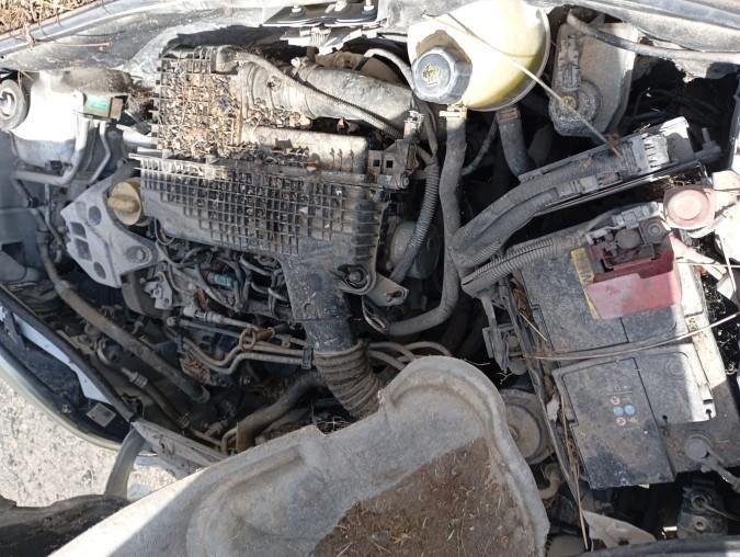 PILOTO-TRASERO-DERECHO-NISSAN-KUBISTAR-X76-1-5-DCI-65CV-Ano-2005-Auto-Desguace-Luque