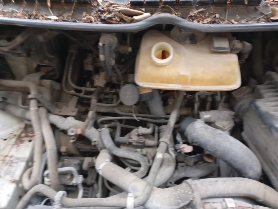 BOMBA-DE-DIRECCION-HIDRAULICA-CITROEN-JUMPY-2-0-HDI-Ano-2006-Auto-Desguace-Luque