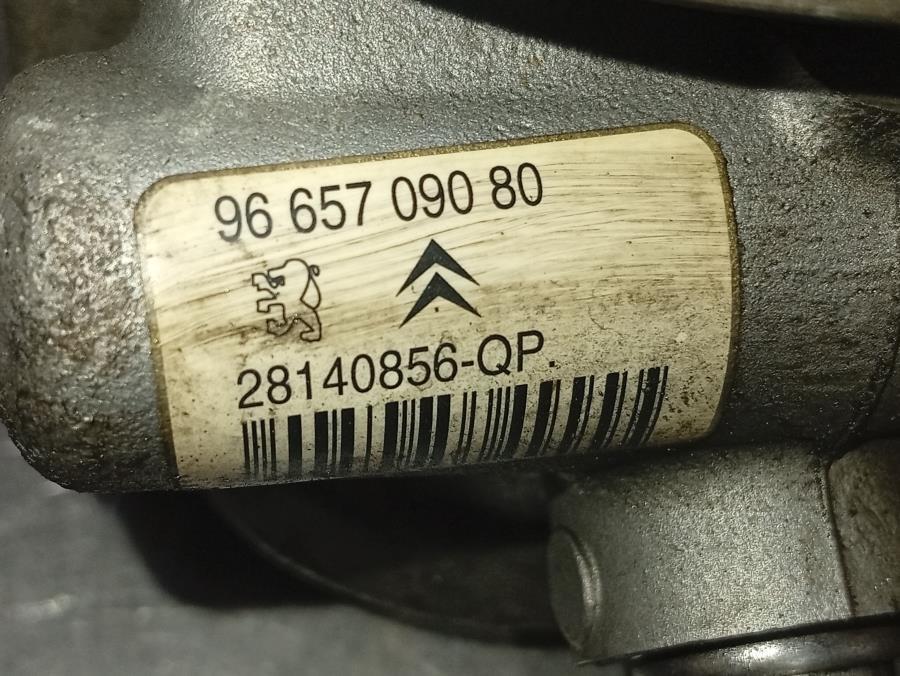 BOMBA-DE-DIRECCION-HIDRAULICA-CITROEN-XSARA-PICASSO-1-6-HDI-Ano-2009-Auto-Desguace-Luque